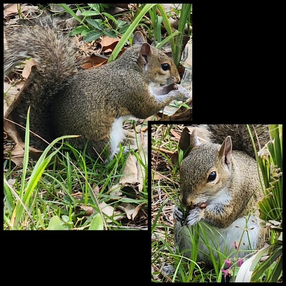 Posh Ambassador II ❤ - Picture 10 of 15